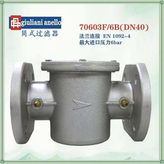 70603F/6B過濾器法蘭連接DN40纖維棉過濾器意大利giuliani anello