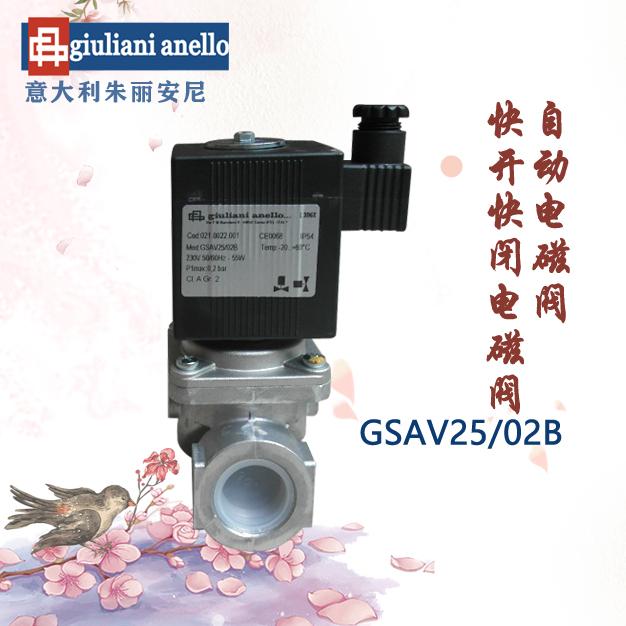 GSAV25/02B快開快閉電磁閥意大利朱麗安尼