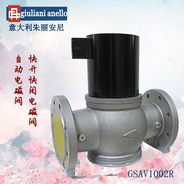 快開快閉型自動電磁閥GSAV1002R意大利giuliani anello燃氣電磁閥