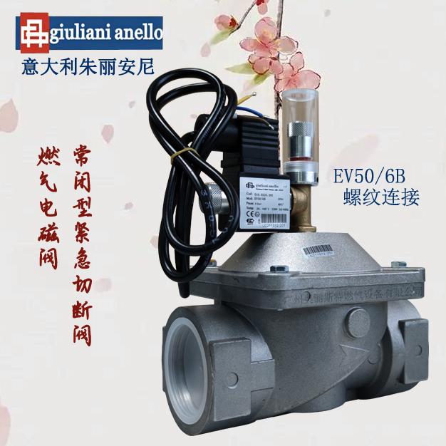 緊急切斷電磁閥EV50/6B DN50連接口徑Giuliani朱麗安尼
