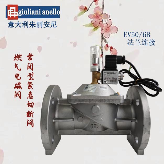 EV50/6B法蘭連接緊急切斷電磁閥Giuliani朱麗安尼切斷閥