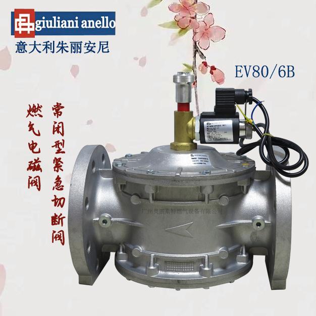DN80法蘭連接電磁閥EV80/6B切斷閥Giuliani朱麗安尼
