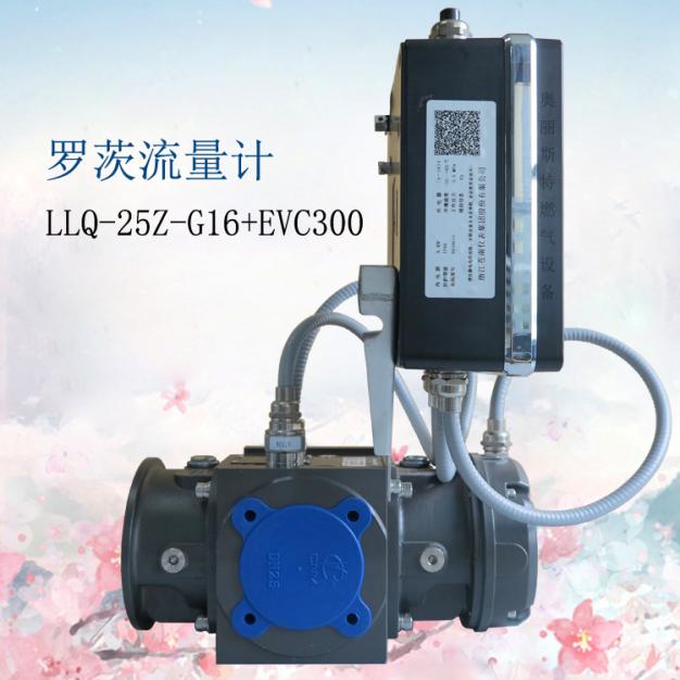 羅茨流量計LLQ-25Z-G16+EVC300蒼南氣體羅茨流量計