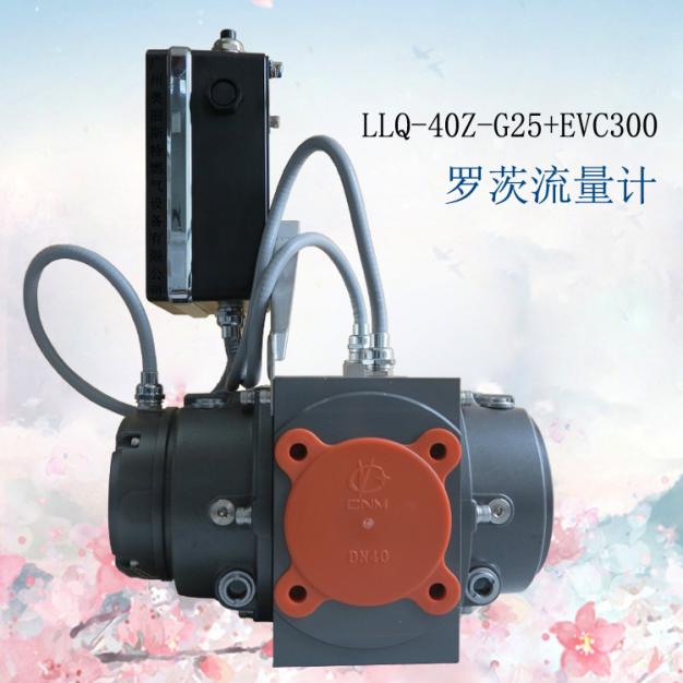 流量計LLQ-40Z-G25+EVC300蒼南氣體羅茨流量計