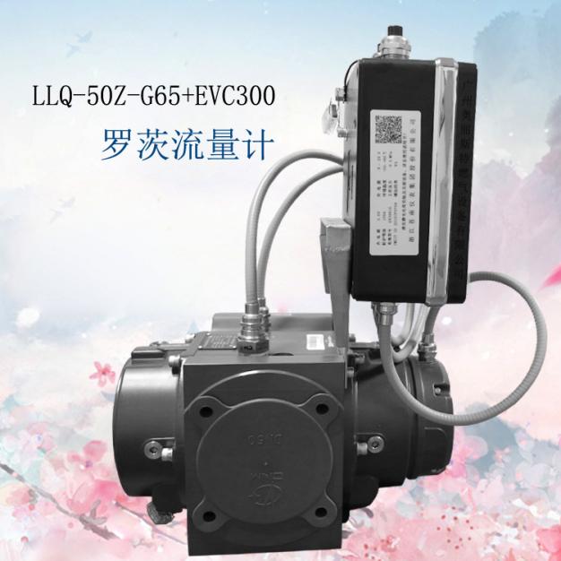 羅茨流量計LLQ-50Z-G65+EVC300蒼南氣體羅茨流量計