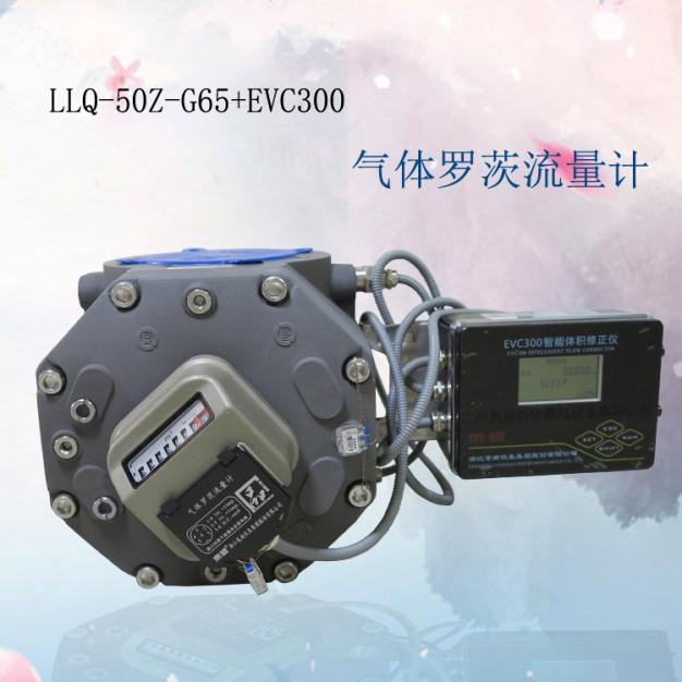 蒼南流量計RM-80-G160氣體羅茨流量計