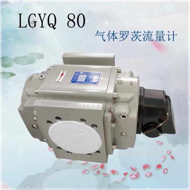 羅茨腰輪流量計LGYQ80智能氣體羅茨流量計
