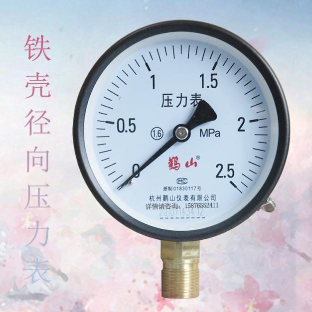 量程0-2.5Mpa Y-100鐵殼徑向壓力表