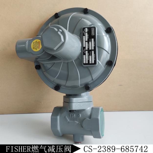 CS-2389-685742新編碼CS400IN-5I/C7/AP減壓閥庫存現(xiàn)貨
