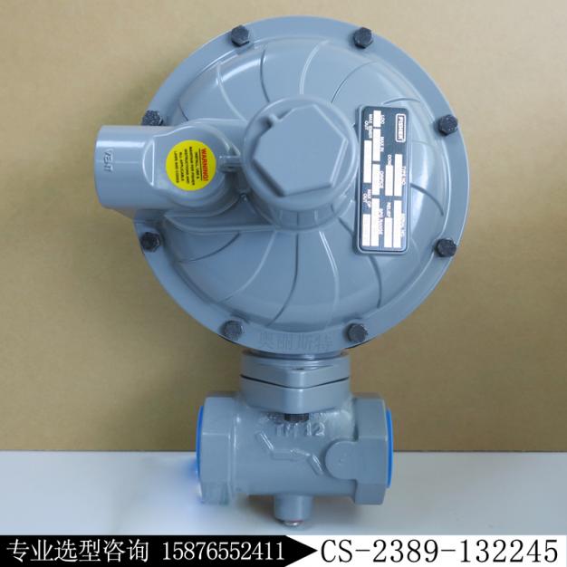 CS400IN-8E/C7新編碼CS-2389-132245調壓閥現貨庫存