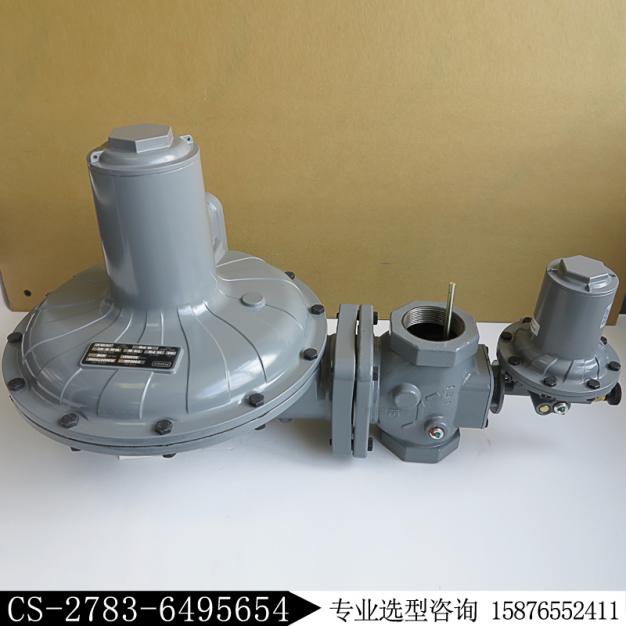 FISHER調(diào)壓閥CS804IN/8E新編碼CS-2783-6495654燃?xì)鉁p壓閥庫存現(xiàn)貨