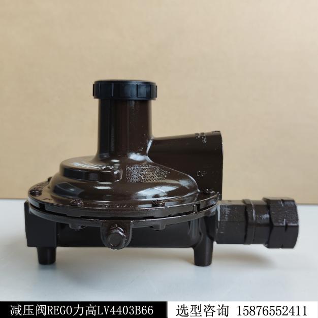 原裝正品REGO力高LV4403B66燃氣減壓閥現貨